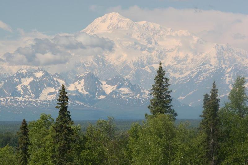 Talkeetna Alaskan Lodge Eksteriør bilde